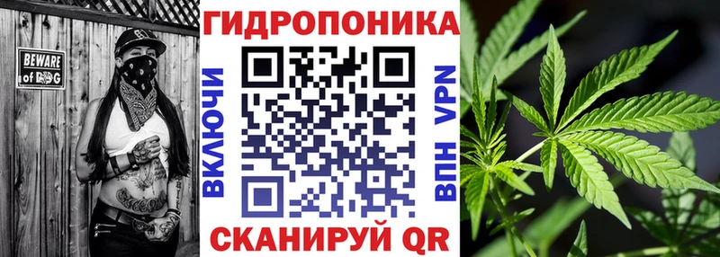 что такое   Искитим  Шишки марихуана SATIVA & INDICA 